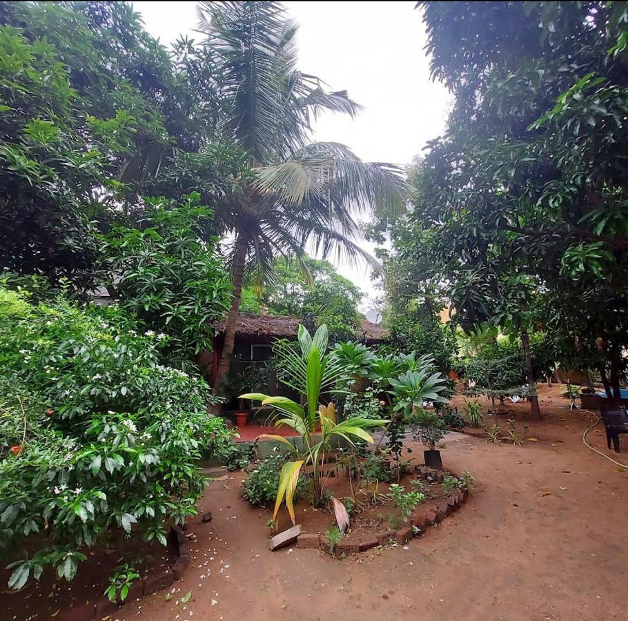 Lotus Riya Home Stay Hampi Bagian luar foto